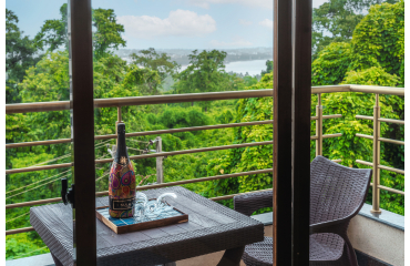 River View Suite